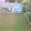 Picture(12)