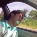 Picture(19)
