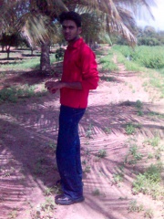 Picture(33)