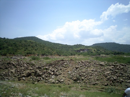 Picture 033