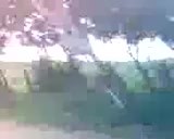 Clip(2)-10