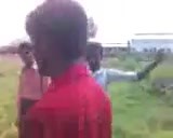 Clip(6)-14