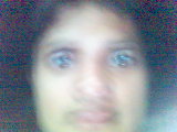 Picture(61)